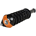 Order Rear Complete Strut Assembly by GSP NORTH AMERICA - 813124 For Your Vehicle