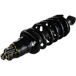Order GSP NORTH AMERICA - 836337 - Suspension Strut and Coil Spring Assembly - Rear Right For Your Vehicle