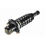 Order GSP NORTH AMERICA - 869005 - Suspension Strut and Coil Spring Assembly - Rear Left For Your Vehicle