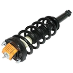 Order GSP NORTH AMERICA - 882519 - Suspension Strut and Coil Spring Assembly - Rear For Your Vehicle