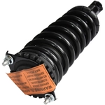 Order GSP NORTH AMERICA - 882538 - Suspension Strut and Coil Spring Assembly - Rear For Your Vehicle