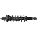 Purchase MONROE/EXPERT SERIES - 482401 - Rear Complete Strut Assembly