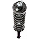 Order Rear Complete Strut Assembly by PRT - 710076 For Your Vehicle