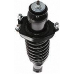 Order Rear Complete Strut Assembly by PRT - 710423 For Your Vehicle