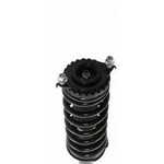 Order Rear Complete Strut Assembly by PRT - 710770 For Your Vehicle