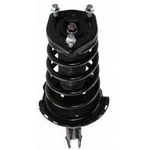 Order Rear Complete Strut Assembly by PRT - 810495 For Your Vehicle