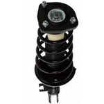 Order Rear Complete Strut Assembly by PRT - 814806 For Your Vehicle