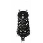 Order Rear Complete Strut Assembly by PRT - 816380 For Your Vehicle