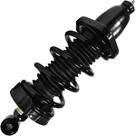 Order UNITY AUTOMOTIVE - 15124 - Rear Complete Strut Assembly For Your Vehicle