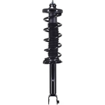 Order WORLDPARTS STRUTS - W2345793L - Rear Complete Strut Assembly For Your Vehicle