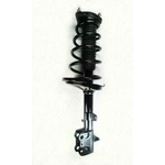 Order Rear Complete Strut Assembly by WORLDPARTS STRUTS - W1333320L For Your Vehicle
