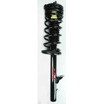 Order Rear Complete Strut Assembly by WORLDPARTS STRUTS - W1336309 For Your Vehicle