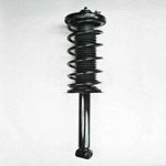 Order Rear Complete Strut Assembly by WORLDPARTS STRUTS - W1336348 For Your Vehicle