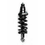 Order Rear Complete Strut Assembly by WORLDPARTS STRUTS - W1345403L For Your Vehicle