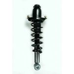 Order Rear Complete Strut Assembly by WORLDPARTS STRUTS - W1345404R For Your Vehicle