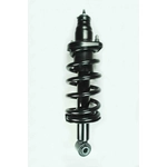 Order Rear Complete Strut Assembly by WORLDPARTS STRUTS - W1345416R For Your Vehicle