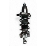 Order Rear Complete Strut Assembly by WORLDPARTS STRUTS - W1345417R For Your Vehicle