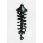 Order Rear Complete Strut Assembly by WORLDPARTS STRUTS - W1345540 For Your Vehicle