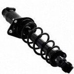 Order Rear Complete Strut Assembly by WORLDPARTS STRUTS - W1345971L For Your Vehicle