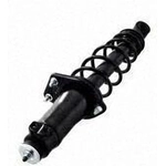 Order Rear Complete Strut Assembly by WORLDPARTS STRUTS - W1345971R For Your Vehicle