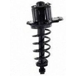 Order Rear Complete Strut Assembly by WORLDPARTS STRUTS - W2345453L For Your Vehicle