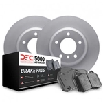 Order DYNAMIC FRICTION COMPANY - 4514-02020 - Ensembre de disques de frein arrière For Your Vehicle