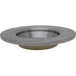 Order Rear Disc Brake Rotor by ACDELCO - 18A81012A For Your Vehicle