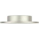 Order Rear Disc Brake Rotor by BOSCH - 26010738 For Your Vehicle