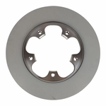 Order Rear Disc Brake Rotor by MOTORCRAFT - BRRF239 For Your Vehicle