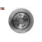 Order Rear Disc Brake Rotor by PROMAX - 14-31105 For Your Vehicle