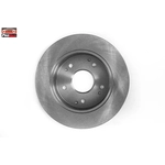 Order Rear Disc Brake Rotor by PROMAX - 14-31245 For Your Vehicle
