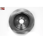 Order Rear Disc Brake Rotor by PROMAX - 14-31253 For Your Vehicle
