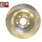 Order Rear Disc Brake Rotor by PROMAX - 14-34404 For Your Vehicle