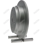 Order Rear Disc Brake Rotor by PROMAX - 20-31317 For Your Vehicle