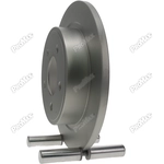 Order Rear Disc Brake Rotor by PROMAX - 20-53018 For Your Vehicle