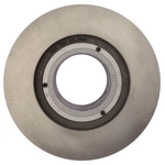 Order Solid Rear Disc Brake Rotor - RAYBESTOS R-Line - 8541R For Your Vehicle