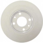 Order Solid Rear Disc Brake Rotor - RAYBESTOS Element 3 - 980949FZN For Your Vehicle