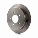 Order Rear Disc Brake Rotor by TOP QUALITY - 8-66670 For Your Vehicle