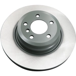 Order WINHERE BRAKE PARTS - 6621169 - Rear Disc Brake Rotor For Your Vehicle