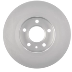 Order Rear Disc Brake Rotor by WORLDPARTS - WS1-1901034 For Your Vehicle