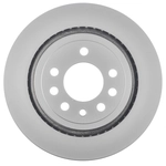 Order Rear Disc Brake Rotor by WORLDPARTS - WS1-834416 For Your Vehicle