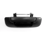 Order Rear Gate Handle - CH1915110 For Your Vehicle