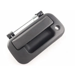 Order Rear Gate Handle - FO1915111 For Your Vehicle