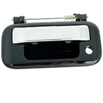 Order Rear Gate Handle - FO1915121 For Your Vehicle