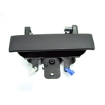 Order Rear Gate Handle - GM1915124 For Your Vehicle
