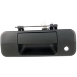 Order Rear Gate Handle - TO1915113 For Your Vehicle