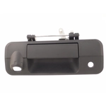 Order Rear Gate Handle - TO1915119 For Your Vehicle
