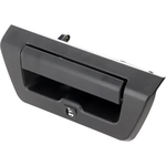 Order Rear Gate Handle - FO1915137 For Your Vehicle