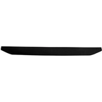 Order Rear Gate Molding - NI1904101 For Your Vehicle