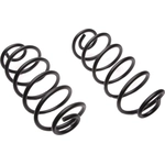 Order Rear Heavy Duty Coil Springs by MOOG - 5245 For Your Vehicle